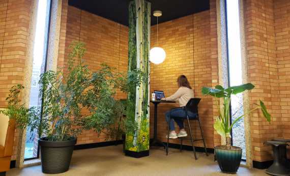 Alma login submission - Montana State University Billings Library, Billings, MT -- Green study space