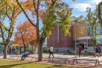 Open workflows for Los Rios libraries